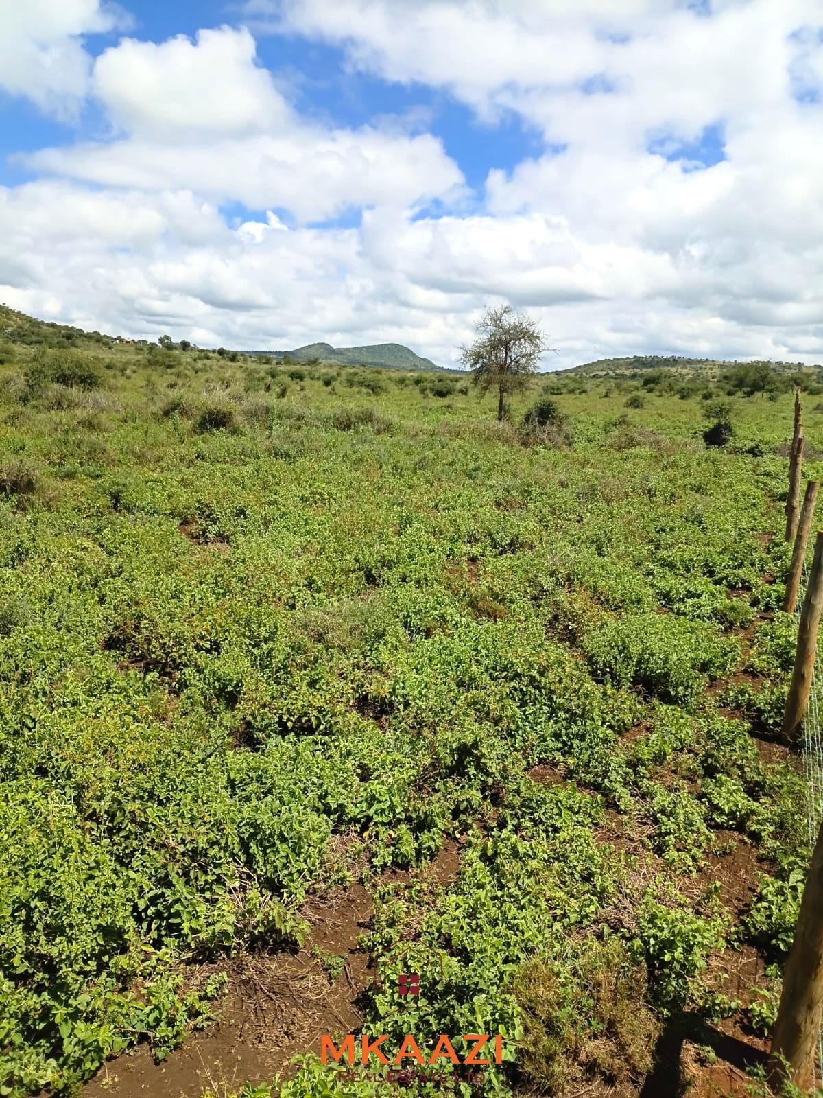 100 Acre Ranch for sale in Kajiado County SImba Town