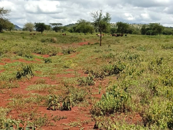 100 Acre Ranch for sale in Kajiado County SImba Town