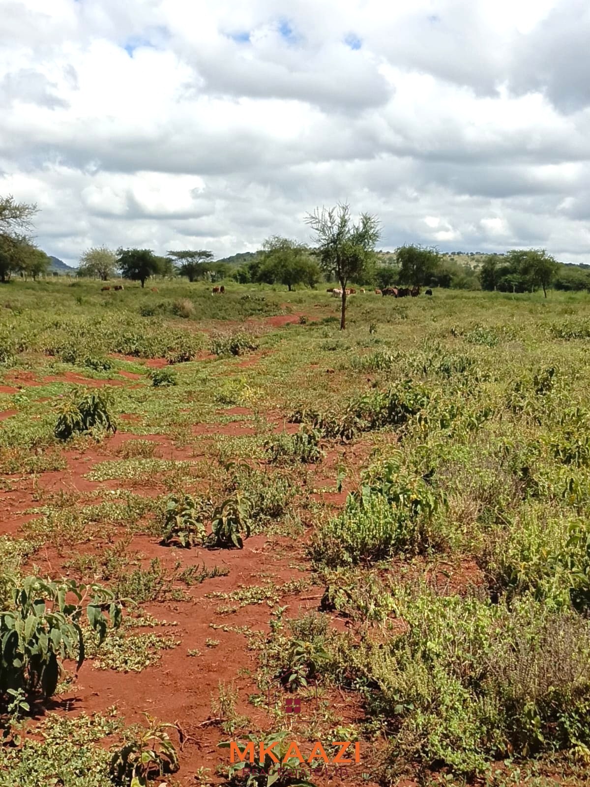 100 Acre Ranch for sale in Kajiado County SImba Town
