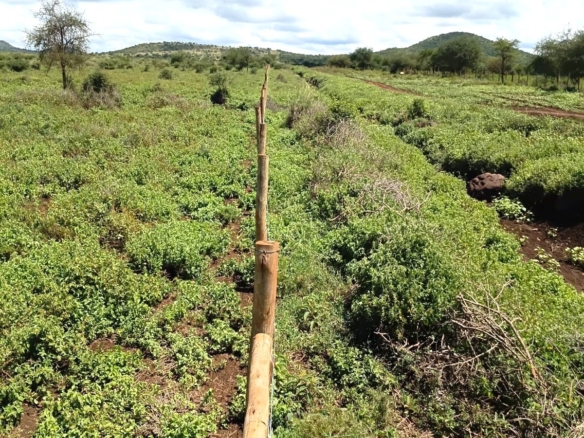 100 Acre Ranch for sale in Kajiado County SImba Town