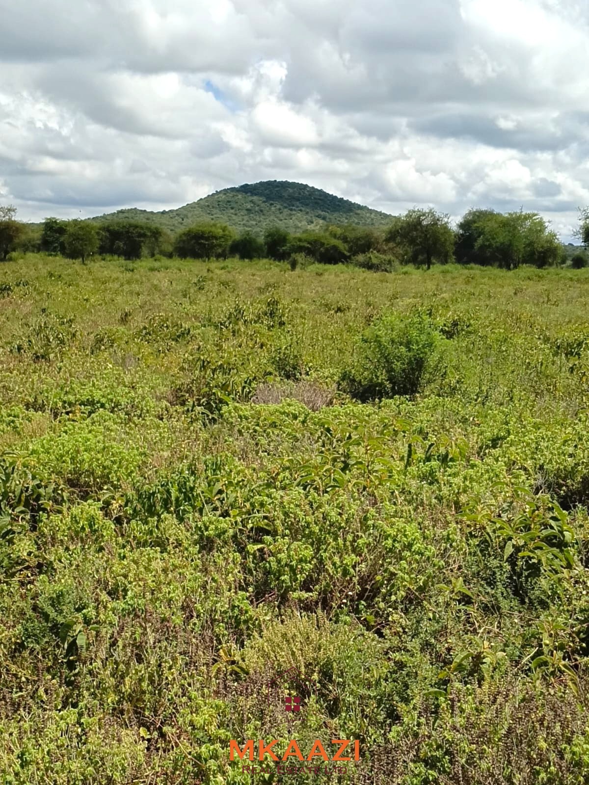 100 Acre Ranch for sale in Kajiado County SImba Town