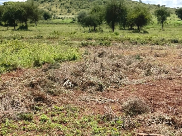 100 Acre Ranch for sale in Kajiado County SImba Town