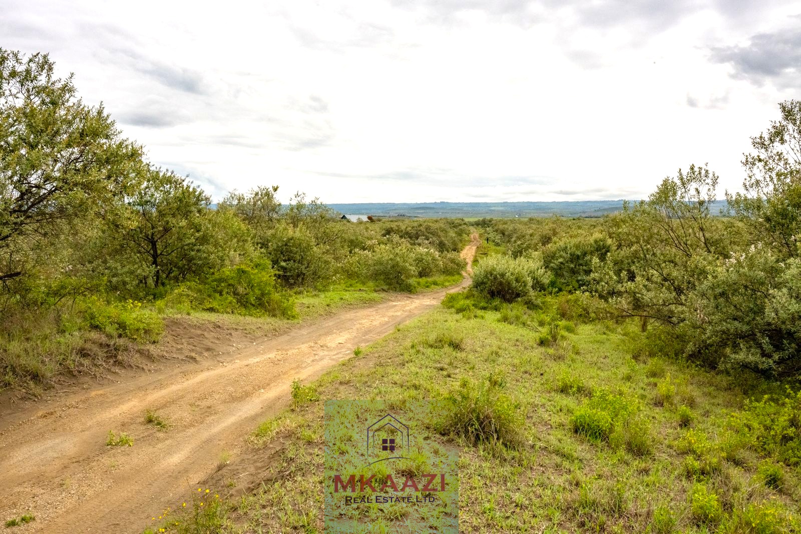 10 Acres FOr Sale Kedong Ranch Naivasha