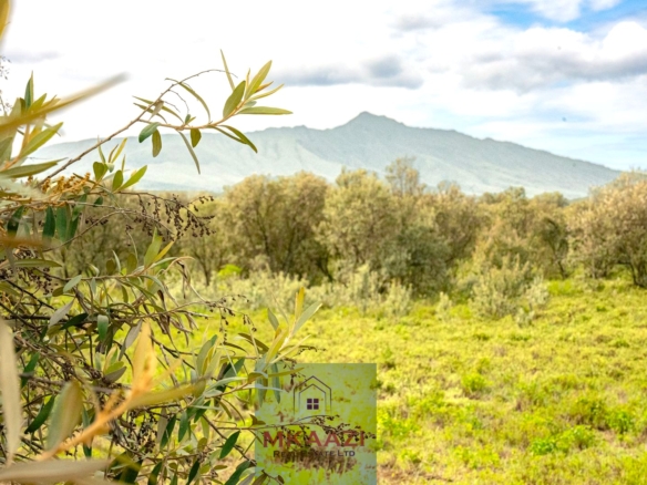 10 Acres FOr Sale Kedong Ranch Naivasha