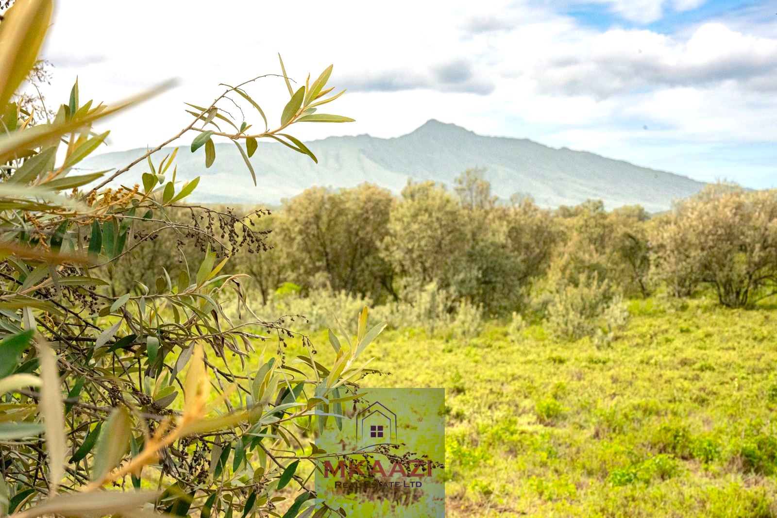 10 Acres FOr Sale Kedong Ranch Naivasha