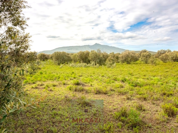 10 Acres FOr Sale Kedong Ranch Naivasha
