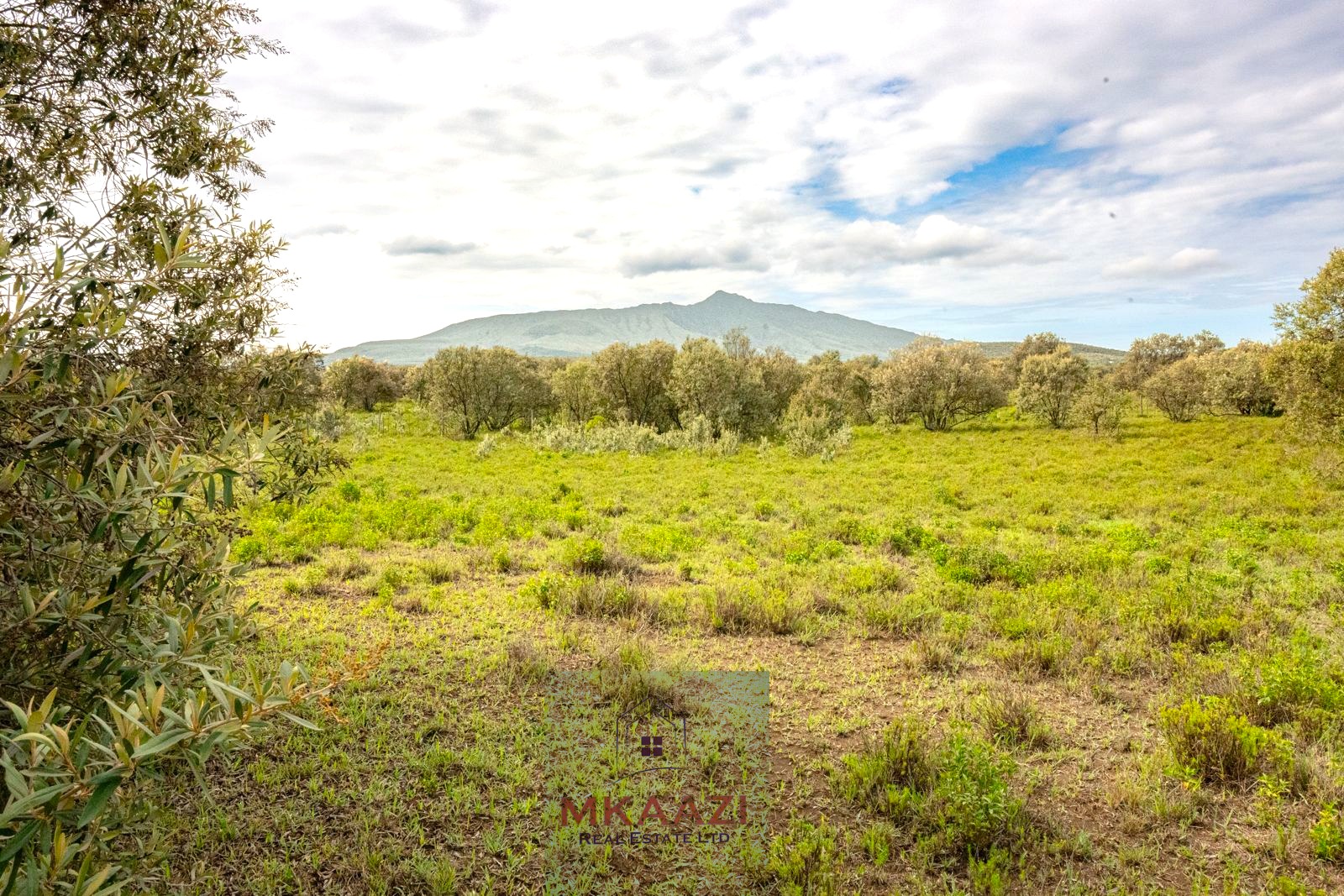 10 Acres FOr Sale Kedong Ranch Naivasha