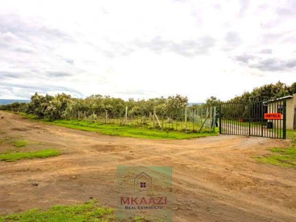 10 Acres FOr Sale Kedong Ranch Naivasha