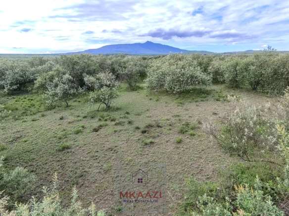 10 Acres FOr Sale Kedong Ranch Naivasha