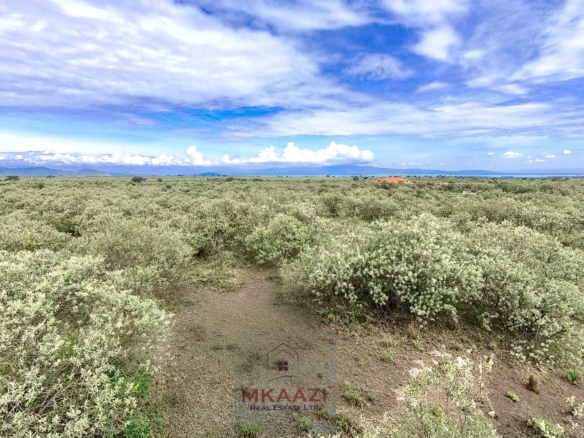10 Acres FOr Sale Kedong Ranch Naivasha