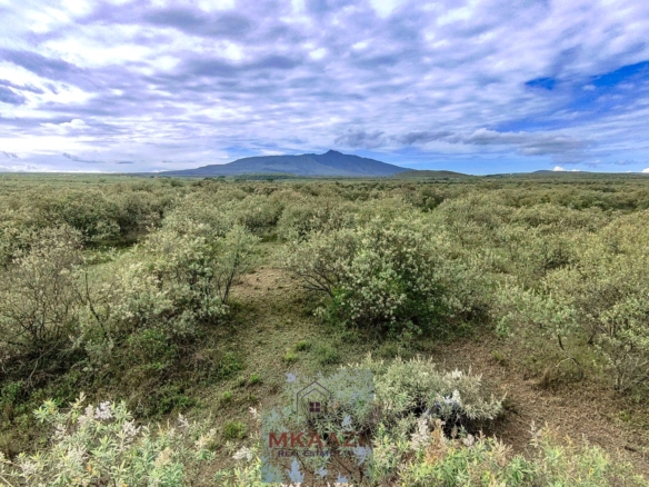 10 Acres FOr Sale Kedong Ranch Naivasha