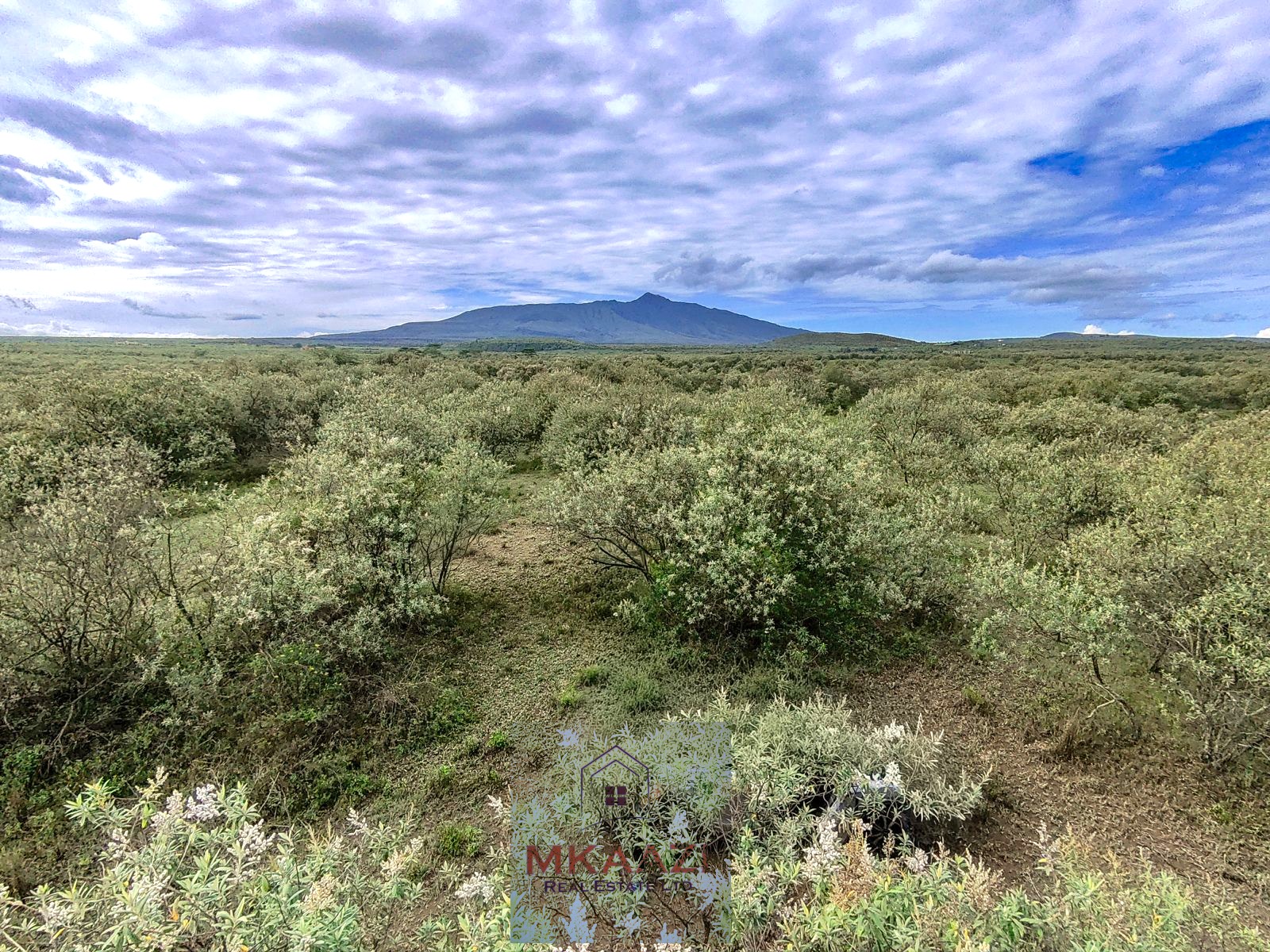 10 Acres FOr Sale Kedong Ranch Naivasha