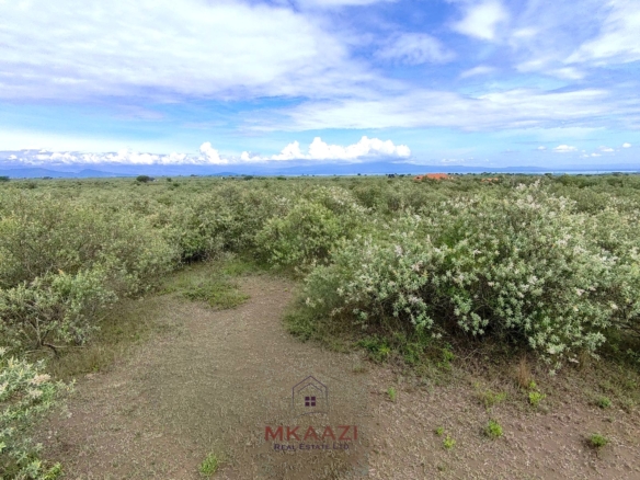 10 Acres FOr Sale Kedong Ranch Naivasha