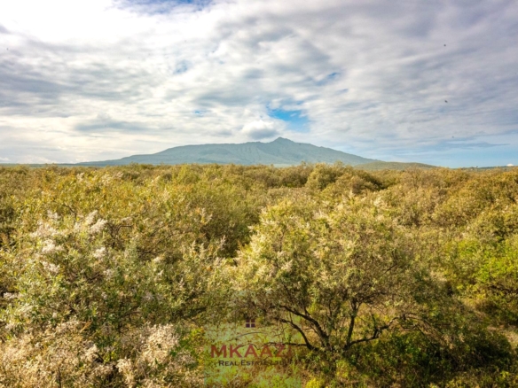 10 Acres FOr Sale Kedong Ranch Naivasha