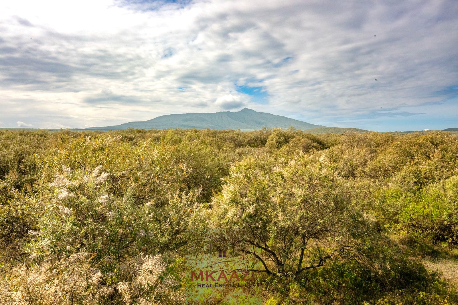 10 Acres FOr Sale Kedong Ranch Naivasha
