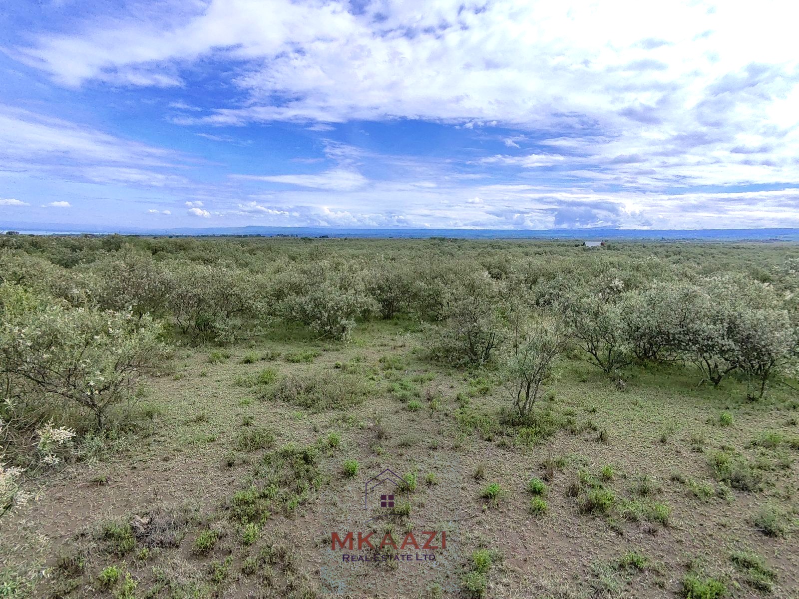 10 Acres FOr Sale Kedong Ranch Naivasha