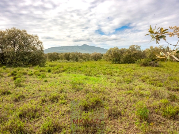 10 Acres FOr Sale Kedong Ranch Naivasha