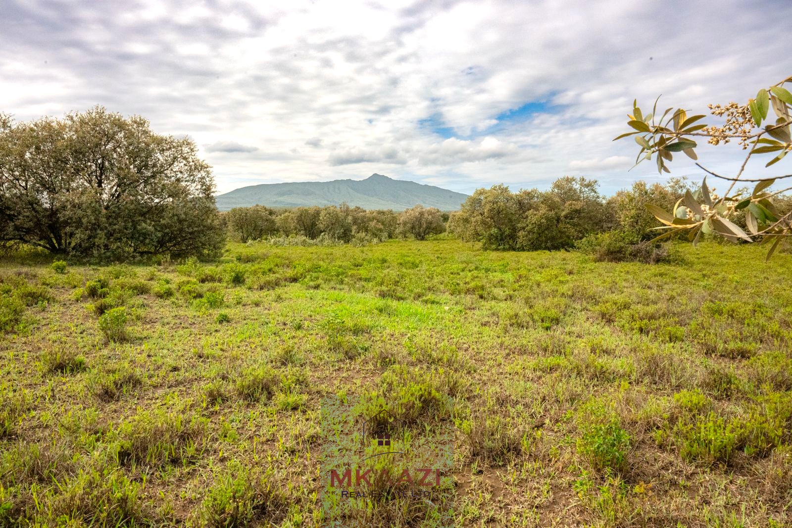 10 Acres FOr Sale Kedong Ranch Naivasha