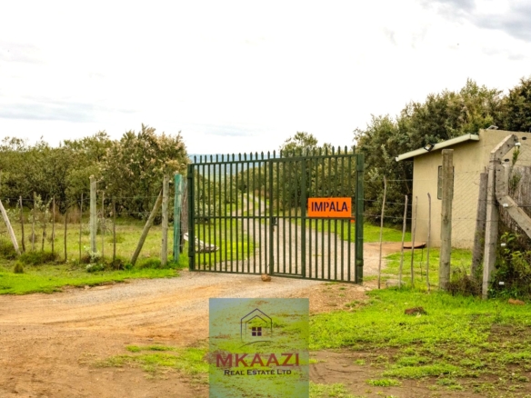 10 Acres FOr Sale Kedong Ranch Naivasha