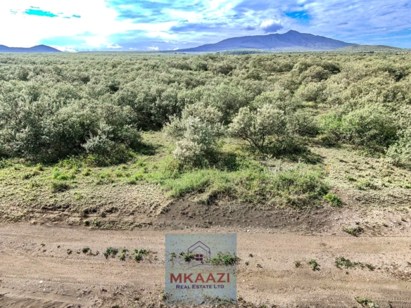 10 Acres FOr Sale Kedong Ranch Naivasha