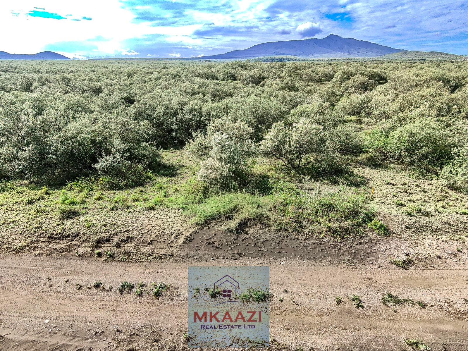 10 Acres FOr Sale Kedong Ranch Naivasha