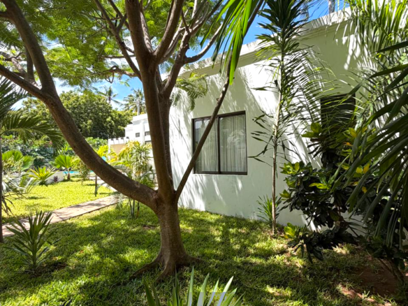 Luxury fully furnished twin villas for sale on Turtle Bay Road Watamu near Temple Point and LichtHaus featuring 4 bedrooms total, proven hospitality income, 70% occupancy rates, private terraces, DSQ, and strong ROI potential.