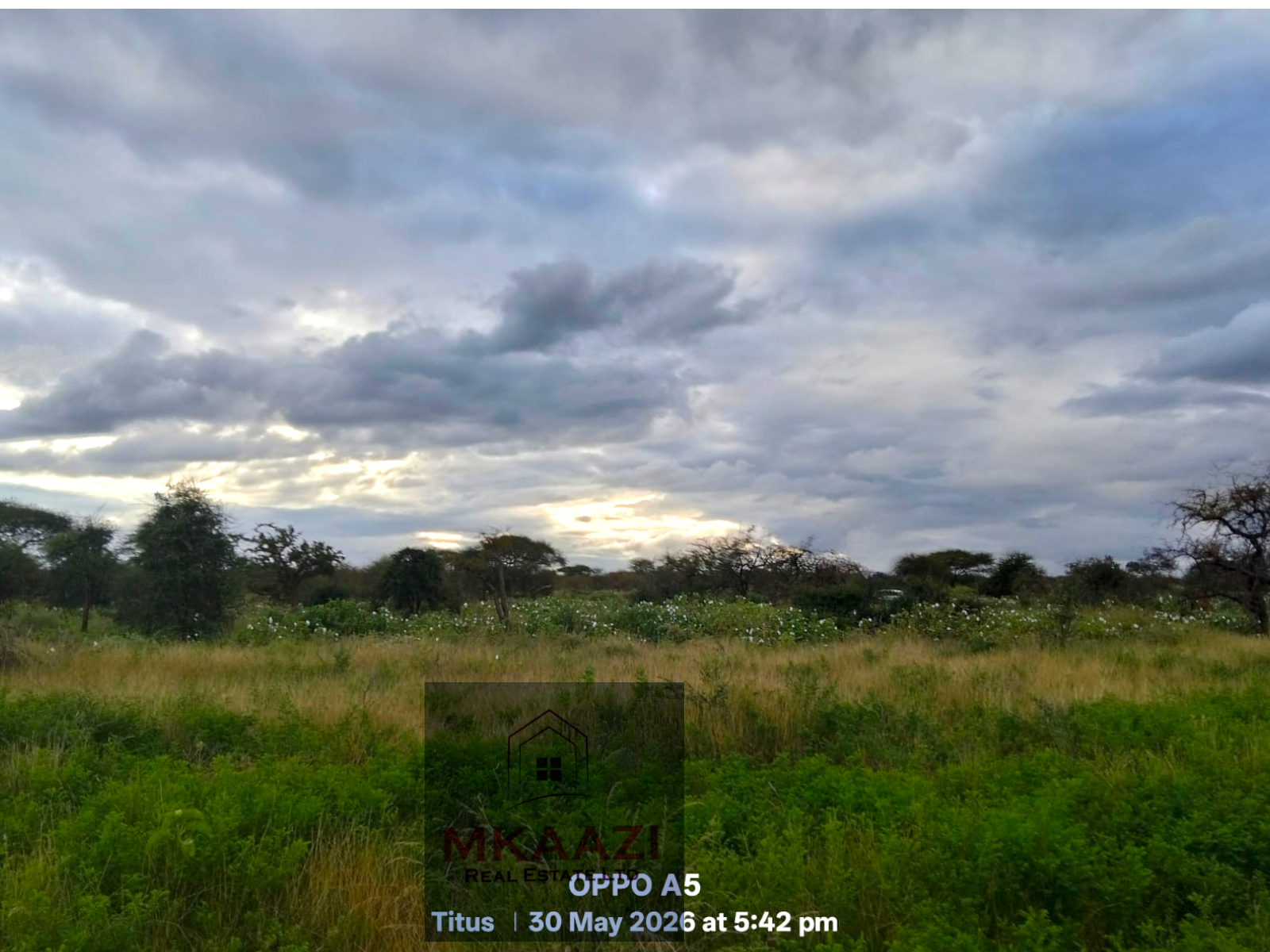 42 acres of fertile freehold land for sale in Eselenkei, Kajiado South featuring red soil, gentle terrain, road access, electricity nearby, and ideal conditions for agriculture, livestock farming, tourism, and investment projects.