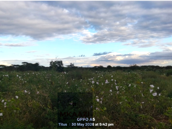 42 acres of fertile freehold land for sale in Eselenkei, Kajiado South featuring red soil, gentle terrain, road access, electricity nearby, and ideal conditions for agriculture, livestock farming, tourism, and investment projects.