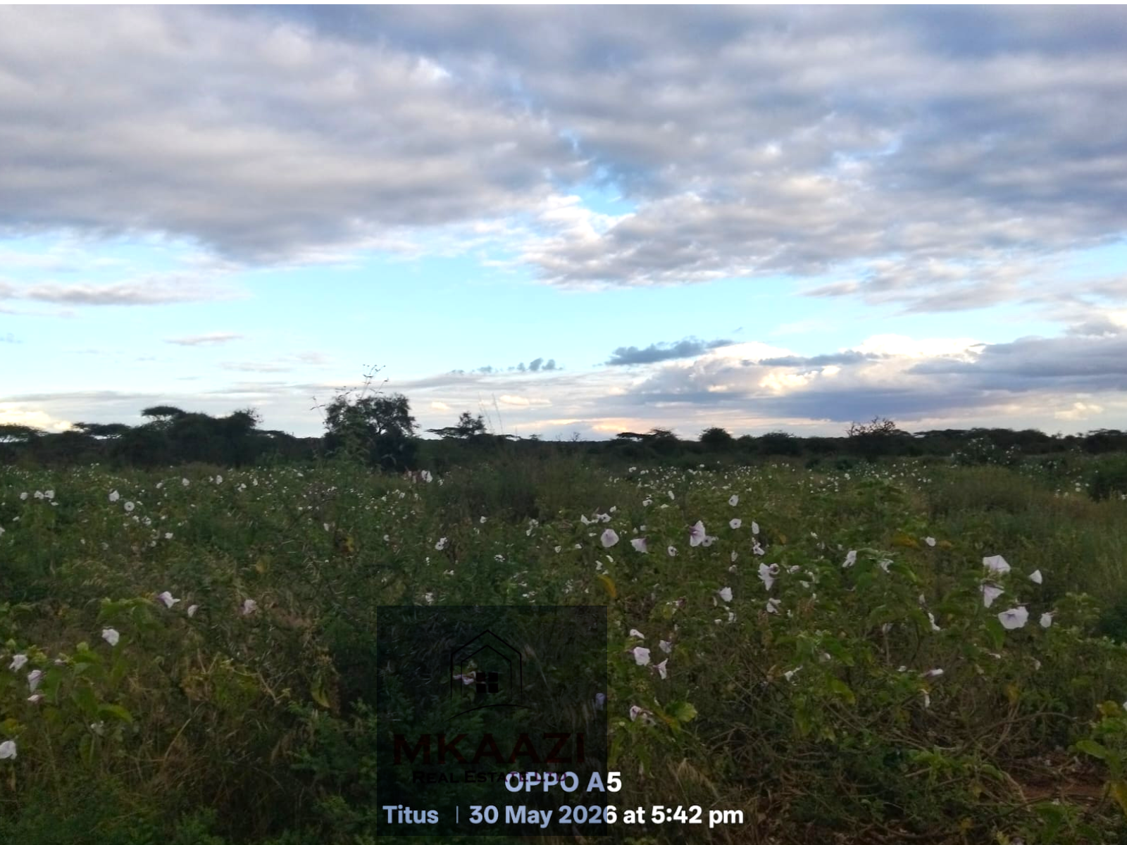 42 acres of fertile freehold land for sale in Eselenkei, Kajiado South featuring red soil, gentle terrain, road access, electricity nearby, and ideal conditions for agriculture, livestock farming, tourism, and investment projects.