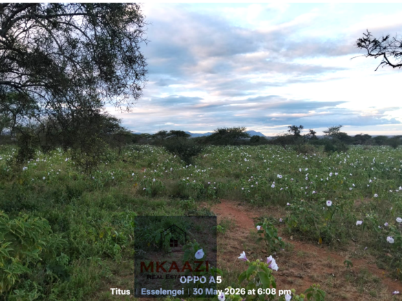 42 acres of fertile freehold land for sale in Eselenkei, Kajiado South featuring red soil, gentle terrain, road access, electricity nearby, and ideal conditions for agriculture, livestock farming, tourism, and investment projects.