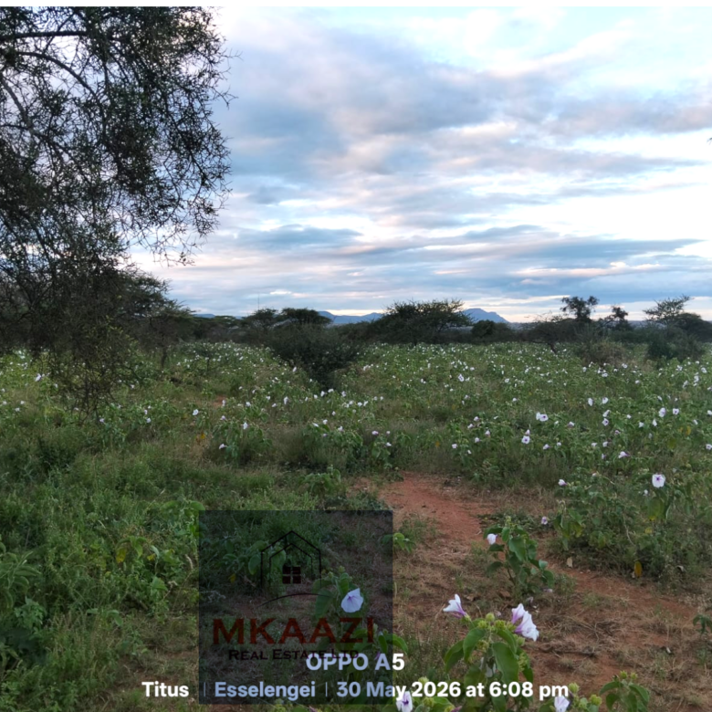 42 acres of fertile freehold land for sale in Eselenkei, Kajiado South featuring red soil, gentle terrain, road access, electricity nearby, and ideal conditions for agriculture, livestock farming, tourism, and investment projects.