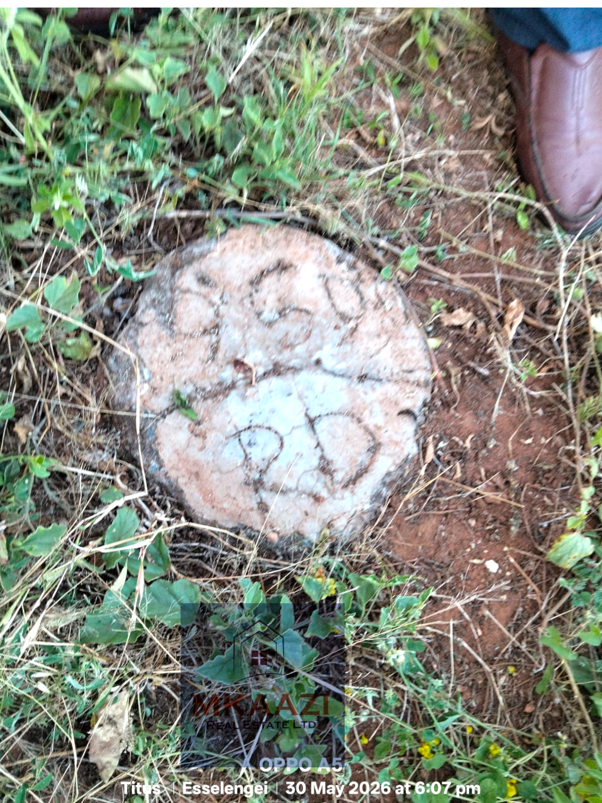 42 acres of fertile freehold land for sale in Eselenkei, Kajiado South featuring red soil, gentle terrain, road access, electricity nearby, and ideal conditions for agriculture, livestock farming, tourism, and investment projects.