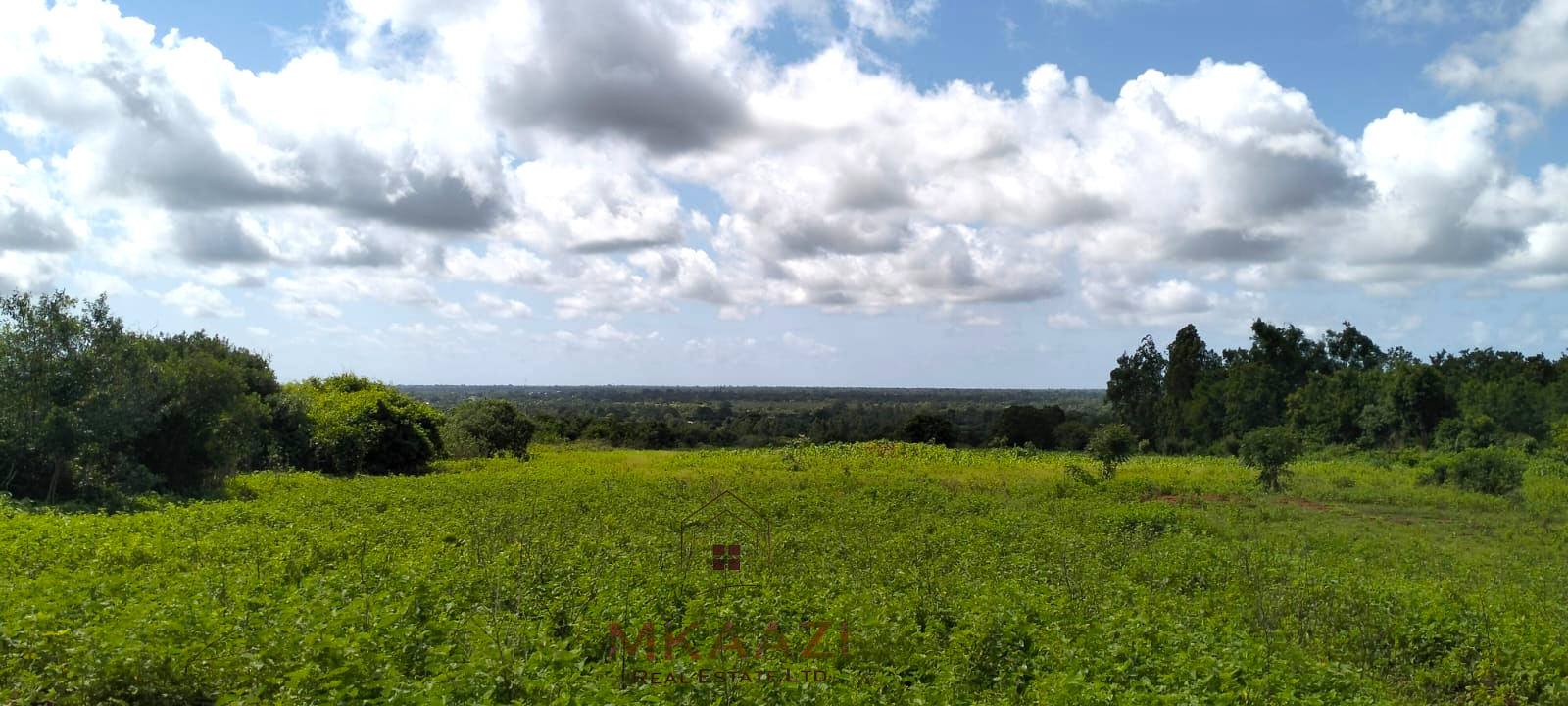 8.5 acres of prime land for sale in Kakuyuni, Malindi featuring stunning panoramic views, piped water, clearly marked boundaries, six acres cleared, all-weather road access, and excellent potential for farming, tourism, residential development, and investment.