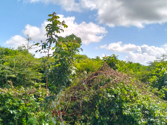 8.5 acres of prime land for sale in Kakuyuni, Malindi featuring stunning panoramic views, piped water, clearly marked boundaries, six acres cleared, all-weather road access, and excellent potential for farming, tourism, residential development, and investment.