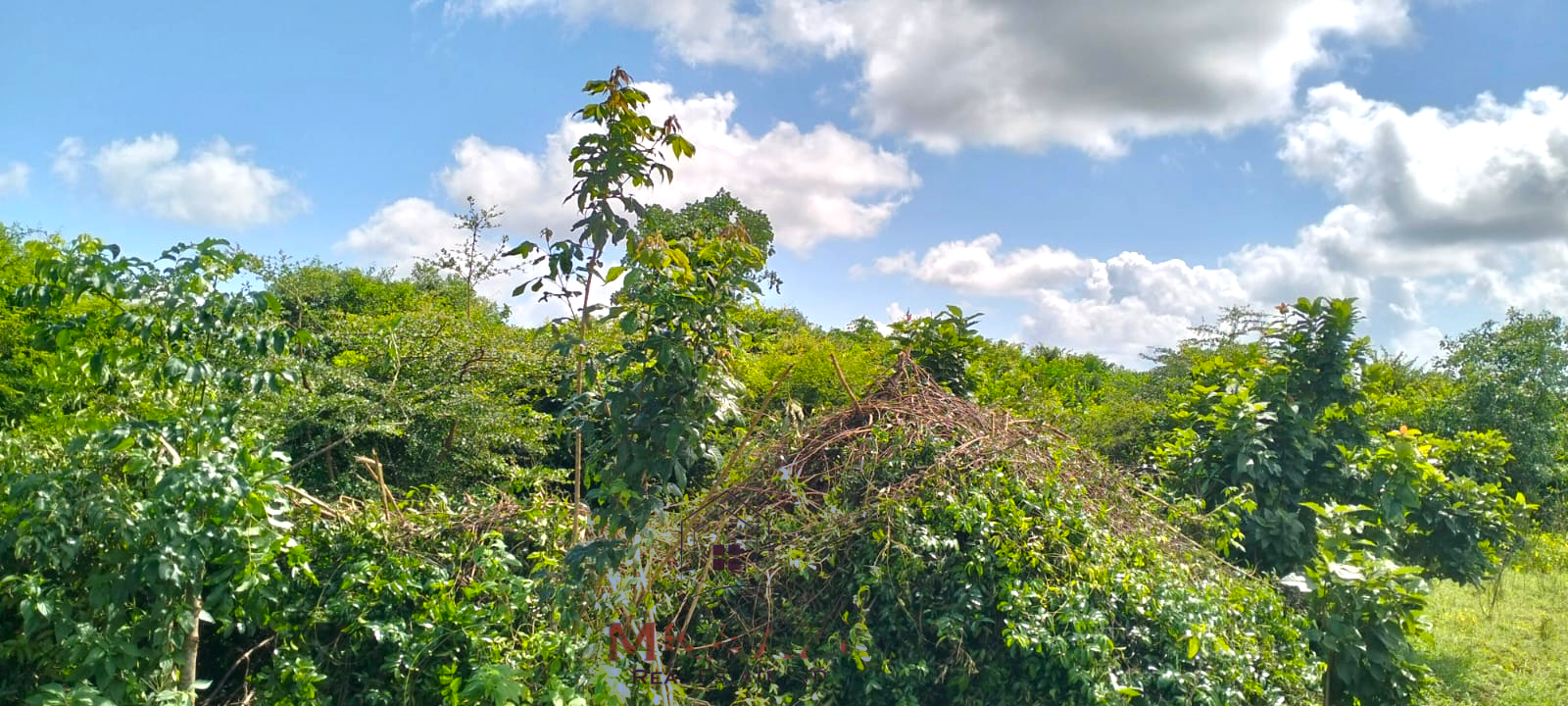 8.5 acres of prime land for sale in Kakuyuni, Malindi featuring stunning panoramic views, piped water, clearly marked boundaries, six acres cleared, all-weather road access, and excellent potential for farming, tourism, residential development, and investment.