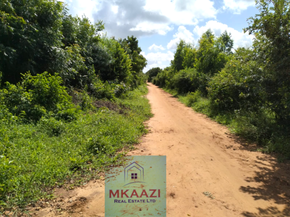 8.5 acres of prime land for sale in Kakuyuni, Malindi featuring stunning panoramic views, piped water, clearly marked boundaries, six acres cleared, all-weather road access, and excellent potential for farming, tourism, residential development, and investment.