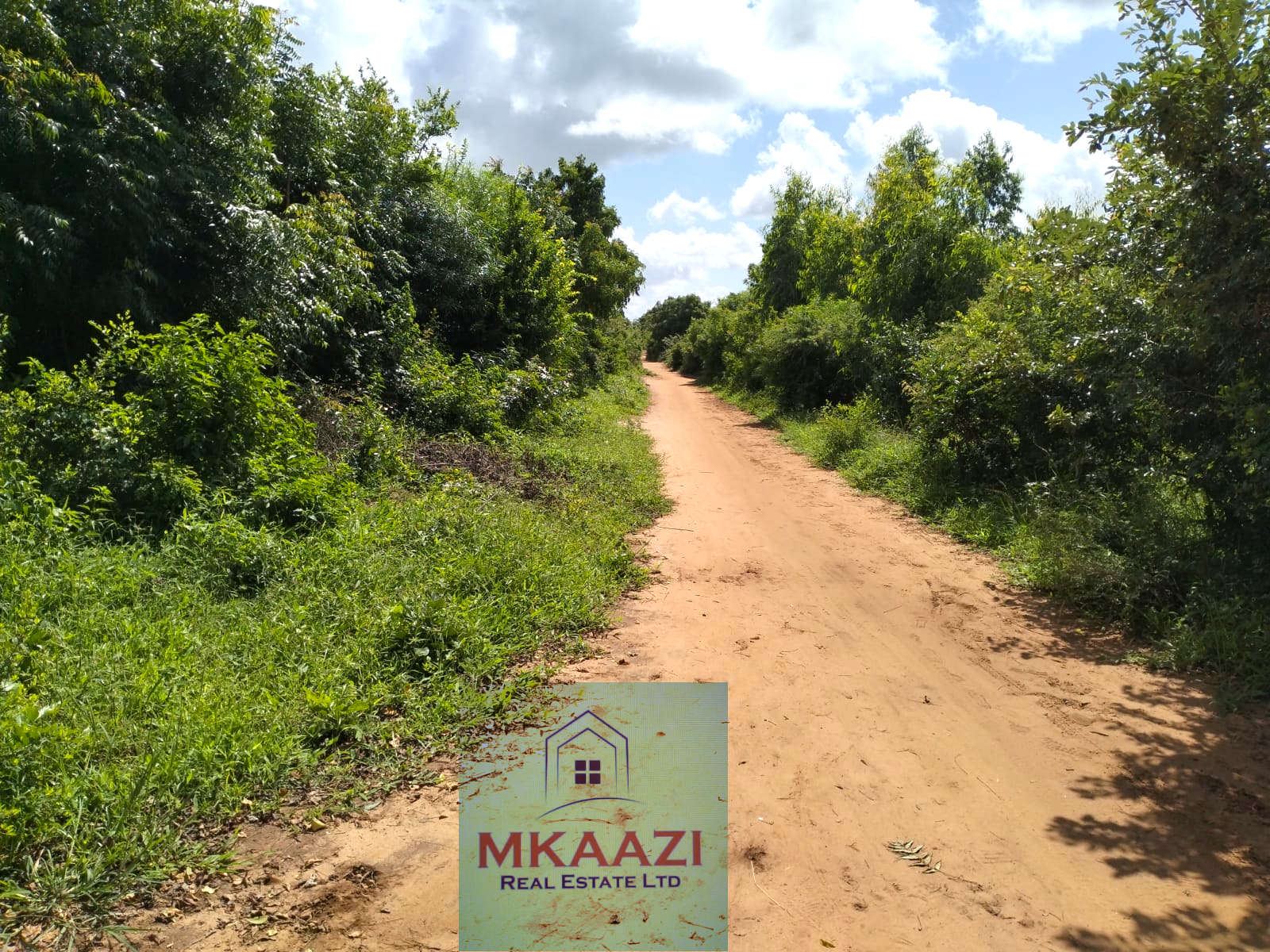 8.5 acres of prime land for sale in Kakuyuni, Malindi featuring stunning panoramic views, piped water, clearly marked boundaries, six acres cleared, all-weather road access, and excellent potential for farming, tourism, residential development, and investment.