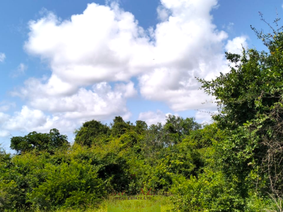 13 acres of prime investment land for sale in Kakuyuni, Malindi near Arabuko Forest featuring piped water on site, electricity nearby, easy road access, and excellent potential for eco-tourism, residential development, agriculture, and long-term investment.
