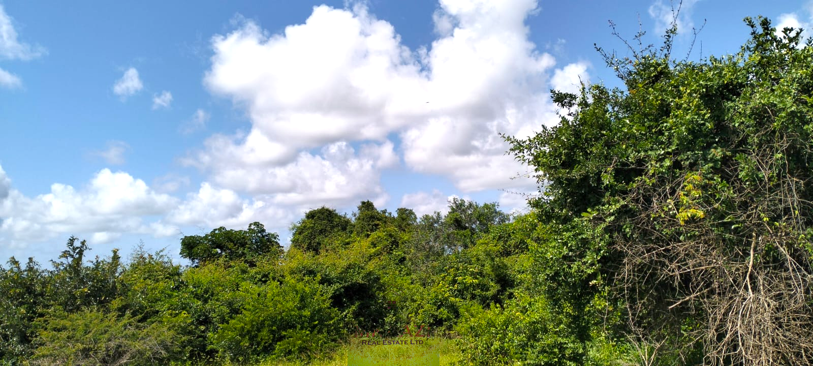 13 acres of prime investment land for sale in Kakuyuni, Malindi near Arabuko Forest featuring piped water on site, electricity nearby, easy road access, and excellent potential for eco-tourism, residential development, agriculture, and long-term investment.