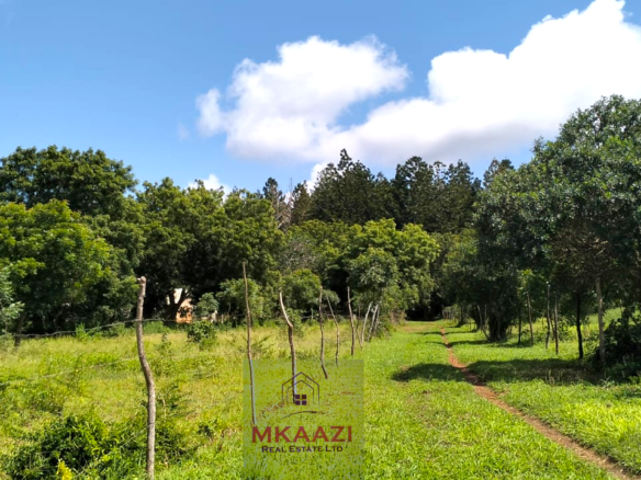 13 acres of prime investment land for sale in Kakuyuni, Malindi near Arabuko Forest featuring piped water on site, electricity nearby, easy road access, and excellent potential for eco-tourism, residential development, agriculture, and long-term investment.