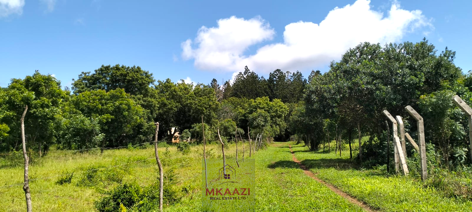 13 acres of prime investment land for sale in Kakuyuni, Malindi near Arabuko Forest featuring piped water on site, electricity nearby, easy road access, and excellent potential for eco-tourism, residential development, agriculture, and long-term investment.