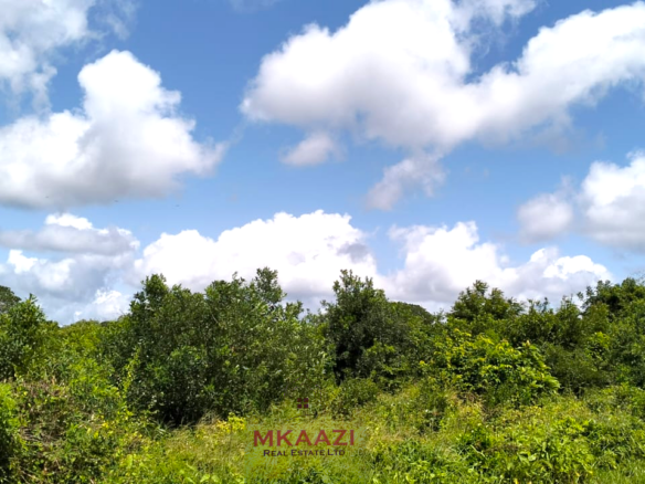 13 acres of prime investment land for sale in Kakuyuni, Malindi near Arabuko Forest featuring piped water on site, electricity nearby, easy road access, and excellent potential for eco-tourism, residential development, agriculture, and long-term investment.
