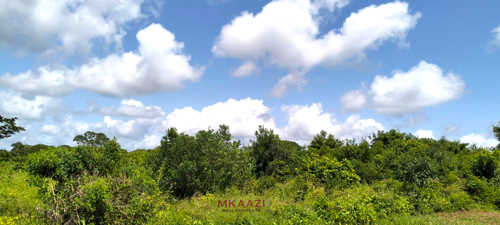 13 acres of prime investment land for sale in Kakuyuni, Malindi near Arabuko Forest featuring piped water on site, electricity nearby, easy road access, and excellent potential for eco-tourism, residential development, agriculture, and long-term investment.