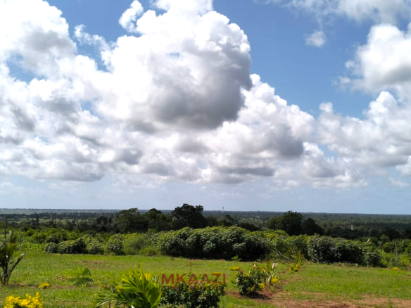 13 acres of prime investment land for sale in Kakuyuni, Malindi near Arabuko Forest featuring piped water on site, electricity nearby, easy road access, and excellent potential for eco-tourism, residential development, agriculture, and long-term investment.