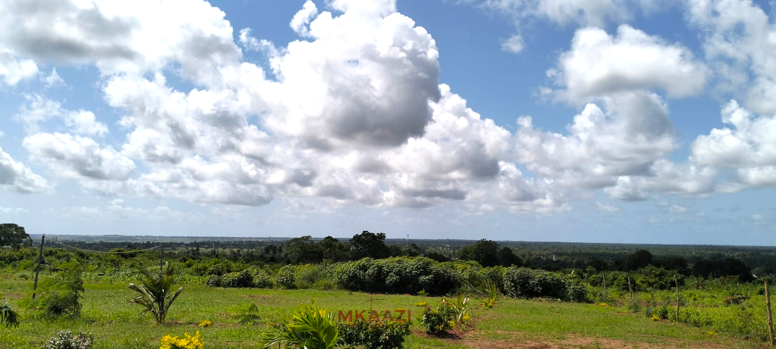 13 acres of prime investment land for sale in Kakuyuni, Malindi near Arabuko Forest featuring piped water on site, electricity nearby, easy road access, and excellent potential for eco-tourism, residential development, agriculture, and long-term investment.