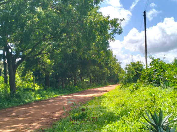 13 acres of prime investment land for sale in Kakuyuni, Malindi near Arabuko Forest featuring piped water on site, electricity nearby, easy road access, and excellent potential for eco-tourism, residential development, agriculture, and long-term investment.