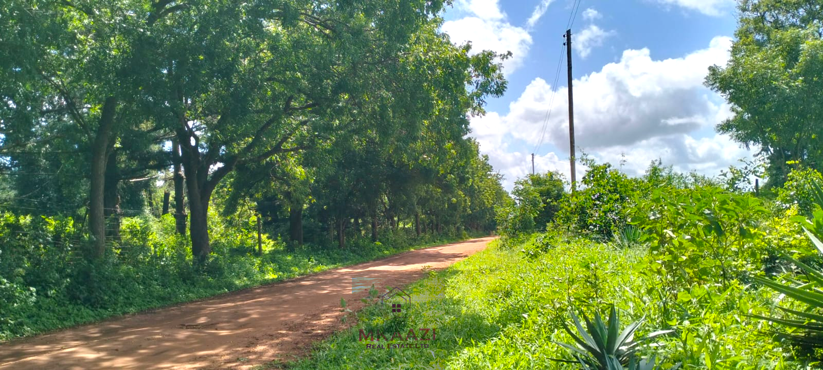 13 acres of prime investment land for sale in Kakuyuni, Malindi near Arabuko Forest featuring piped water on site, electricity nearby, easy road access, and excellent potential for eco-tourism, residential development, agriculture, and long-term investment.