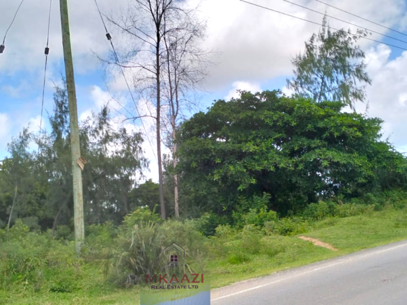 65 acres of prime development land for sale in Mere, Malindi with direct tarmac frontage, leasehold title, excellent accessibility, and outstanding potential for residential, commercial, hospitality, industrial, and mixed-use developments.
