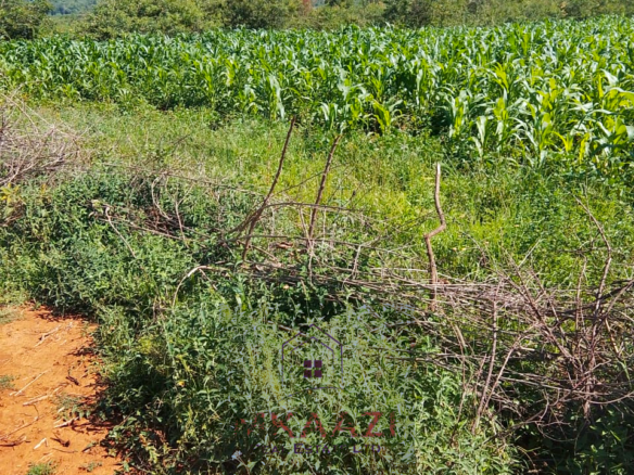 2,500 acres of prime agricultural land for sale in Solai featuring fertile red soil, freehold title, stream river frontage, electricity availability, and exceptional potential for mixed farming, livestock ranching, aloe vera cultivation, agribusiness, and long-term agricultural investment.