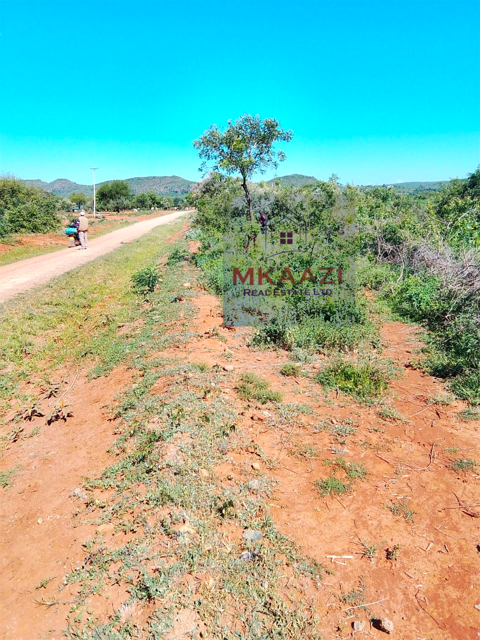2,500 acres of prime agricultural land for sale in Solai featuring fertile red soil, freehold title, stream river frontage, electricity availability, and exceptional potential for mixed farming, livestock ranching, aloe vera cultivation, agribusiness, and long-term agricultural investment.